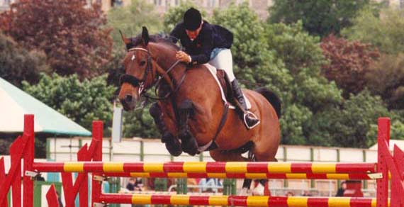 Show jumping Foals