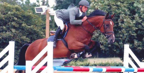 Show Jumpers For Sale