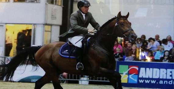 Performance Horses For Sale